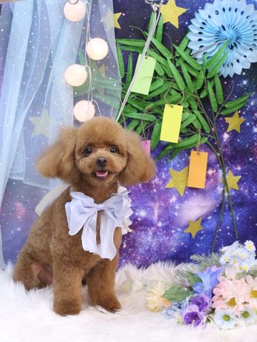 20250706ベルくん